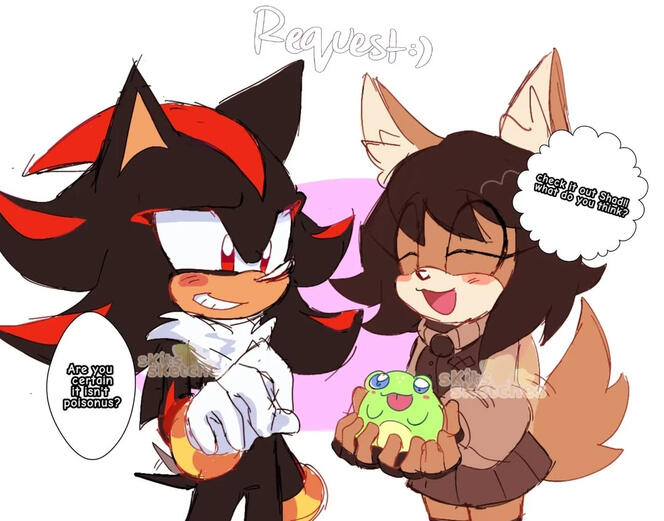 sonic sonic